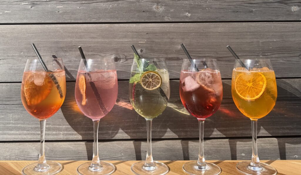 IMG_4449-scaled-e1773304665655-1024x596